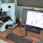 Tratamento térmico têmpera